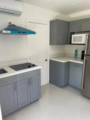 a kitchen with gray cabinets and white appliances at Studio close to airport in Dania Beach