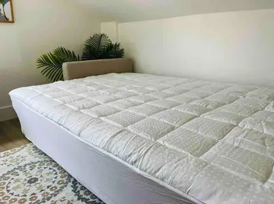 a white bed in a room with a plant at La Casita in Miami