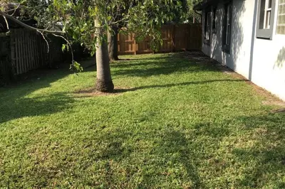 a yard with a tree and a fence at Spacious House in Fort Lauderdale - Minutes from Beach in Fort Lauderdale