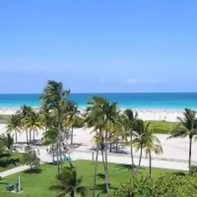 a view of a beach with palm trees and the ocean at Congress Ocean Drive in Miami Beach