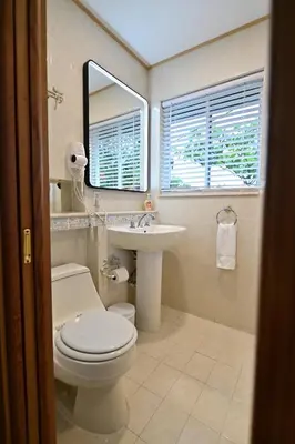 a bathroom with a toilet and a sink and a mirror at D' Mauchi Waterfront House in Miami