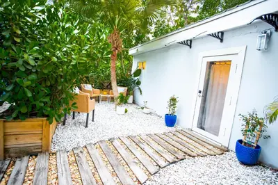a patio with plants and a white building at Cozy Tiny Home - Hidden Gem! in Miami
