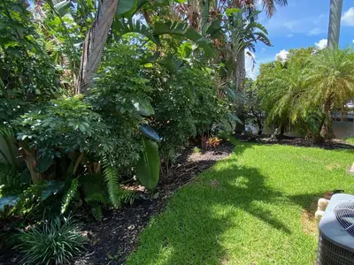a garden with lush green grass and trees at Riverbank Guesthouse Wilton Manors in Fort Lauderdale