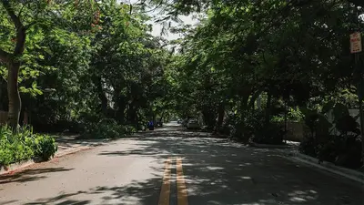 an empty street with trees on the sides of the road at Beach Haus Design District in Miami