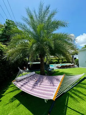 a hammock under a palm tree next to a pool at Pura Vida Villa in Miami