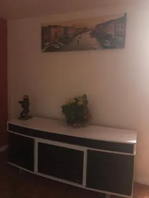 a table with a plant sitting on top of it at Josiane Peace of stay in Miami