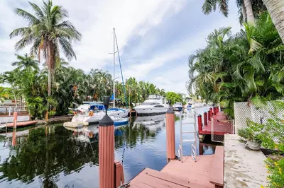 a group of boats docked in a marina with palm trees at Charming 2BR Waterfront House in Fort Lauderdale