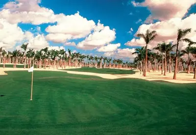 a view of a golf course with palm trees at Marriott Villas at Doral 2BD sleeps 8 in Miami
