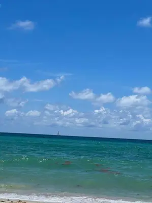 a view of the ocean with a ship in the distance at Hollywood Townhouse steps to beach and famous Broadwalk in Hollywood Beach