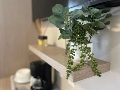 a plant in a white vase on a shelf at 7130 Costa Boutique in Miami Beach