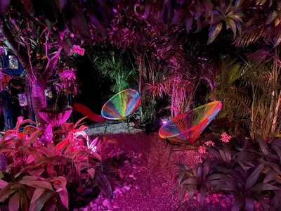 a group of colorful chairs in a garden with plants at Experience Miami Magic: Tropical Pool Escape in Miami