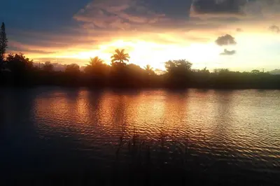 a sunset over a large body of water with trees at Beach Lake Paradise - Super Location! in Fort Lauderdale
