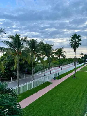 a street with palm trees and a white fence at Luxury Ocean Front Condo on Millionaires Row in Miami Beach
