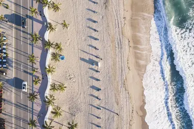 an overhead view of a beach with palm trees and surfboards at Daiquiri in Dania Beach