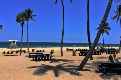 a beach with picnic tables and palm trees and the ocean at Gorgeous Las Olas - Heated Pool, Close to Beach in Fort Lauderdale