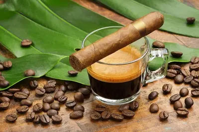 a cup of coffee with a cigar and coffee beans at Oceanfront 3B Private Residence at South Beach - 828 in Miami Beach
