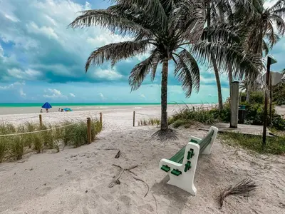 a bench sitting on a beach with a palm tree at Sunrise Delight 2 min walk to Beach Essentials in Hollywood