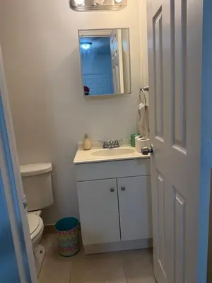 a bathroom with a sink and a toilet and a mirror at My Garden in Miami Florida in Palmetto Bay