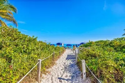 a path leading to a beach with a palm tree at Fantastic Townhouse Beach Access Resort Amenities! in Hallandale Beach