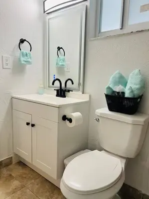 a bathroom with a toilet and a sink and a mirror at Sunshine Cove in Lake Forest