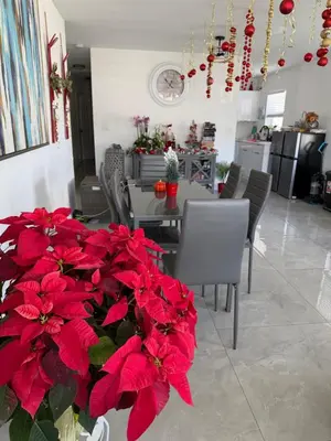 a dining room with red flowers and a table and chairs at HOSTEL Star in Hallandale Beach