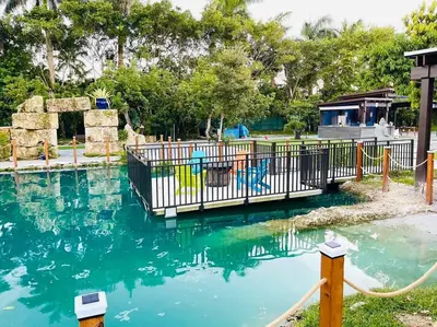 a pool of green water in a park at Lake Of Dreams Miami House in Miami