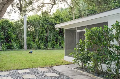 a bird sitting in the grass next to a house at The Peacock Bungalow Near Fort Lauderdale Beach! in Fort Lauderdale
