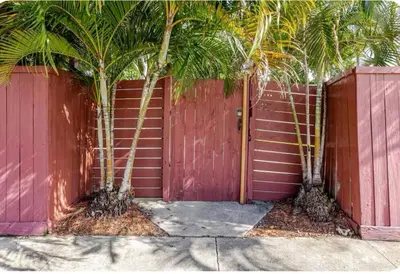 two palm trees in front of a red fence at New comfortable and youthful sport in Fort Lauderdale