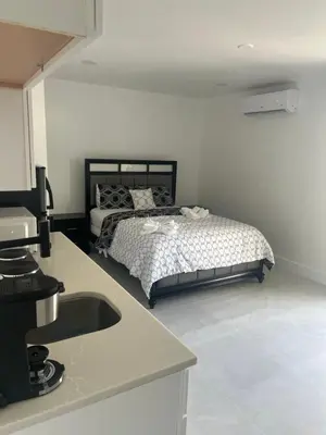 a bedroom with a bed and a sink in it at Luxury Studio in Miami
