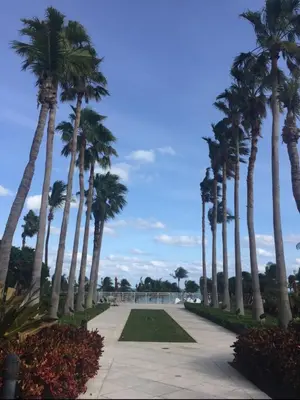a row of palm trees on a walkway near the ocean at Key Biscayne Beach Vacation in Miami