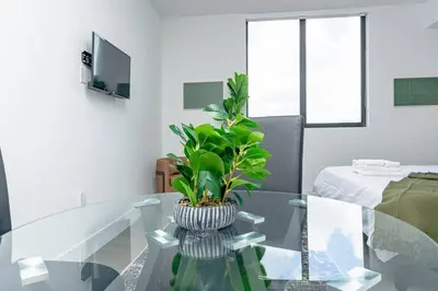 a living room with a glass table with a plant on it at Central 1BR in Miami with King Bed Near Wynwood and Marlins Park in Miami