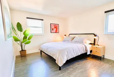a bedroom with a bed and a potted plant at Homey Haven in Vibrant South Beach in Miami Beach