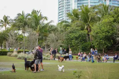 a group of people with dogs in a park at Art Deco 1 Bedroom Apartment Steps to Beach in South of Fifth Neighborhood in Miami Beach