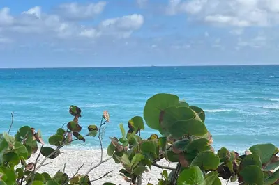 a view of the ocean from the beach at Cozy studio in Hollywood, FL in Hollywood