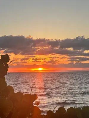 a sunset over the ocean with a teddy bear at 3-BR space in charming Hollywood in Hollywood
