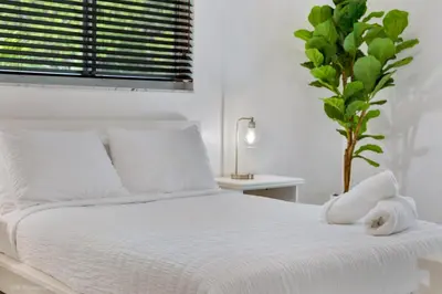 a white bedroom with a white bed and a plant at Tropical 3BR Escape with Pool, 7 Min Drive to Beach in Hollywood