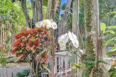 a bunch of flowers on a fence next to trees at Tropical Oasis 2BR House w Pool in Fort Lauderdale