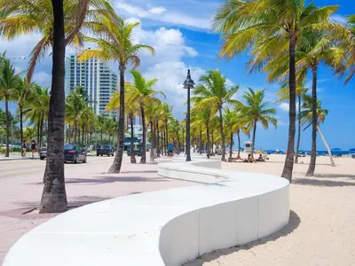 a bench on the beach with palm trees at Sunny Cottage in Fort Lauderdale