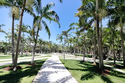 a path lined with palm trees in a park at Beachside Bliss Estate 4801 in Miami