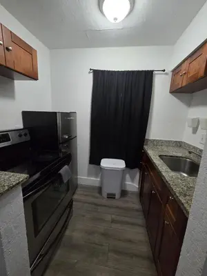 a kitchen with a sink and a black shower curtain at Cozy Place Near Design District - 3 in Miami