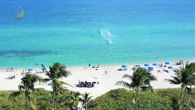 a beach with people and umbrellas and the ocean at Alexander 1119 in Miami Beach