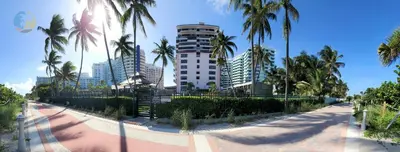 a park with palm trees and a tall building at Alexander 604 in Miami Beach