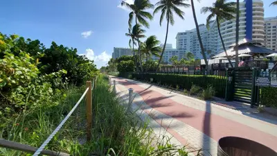 a walk way with palm trees and a fence at Alexander in Miami Beach