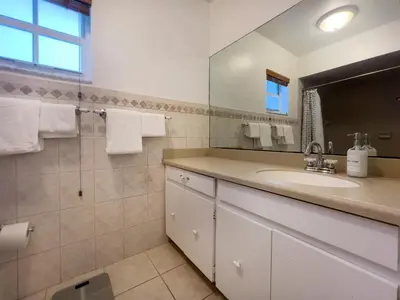 a bathroom with a sink and a mirror at Tranquil Heirloom Hideaway Pool in South Miami in Miami