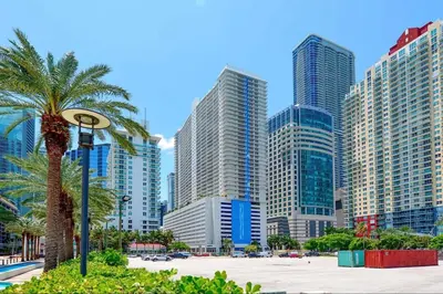 a city skyline with tall buildings and a palm tree at Relax and stunning view 20th Floor Views in Miami