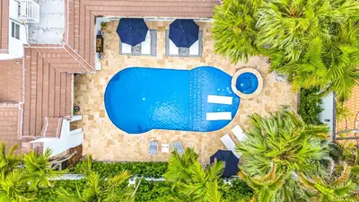 an overhead view of a swimming pool with palm trees at Grand historic Residence Walk to beach Heated Pool Outdoor kitchen Hibiscus Key Residences in Fort Lauderdale