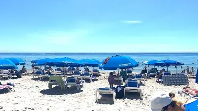 a beach with chairs and blue umbrellas and the ocean at Hallandale Beach Apmt 1B 1B Beach & Pool Service in Hallandale Beach