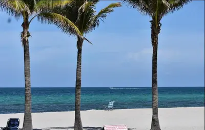 two palm trees on a beach with a chair and the ocean at Your Paradise in Miami Beach Gym and Pool 2b 2b 1507 in Hallandale Beach