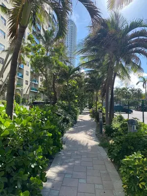 a pathway with palm trees and a building at Enjoy Miami Beach Pool and Restaurant 2B 2B 2007 in Hallandale Beach