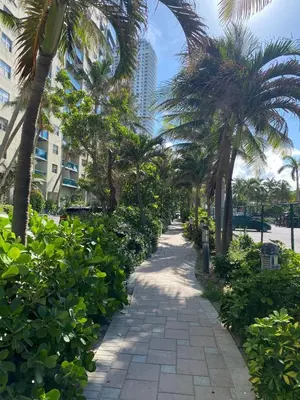 a pathway with palm trees and a building at Miami Beach Cozy 1B with Pool and Beach Service 1506 in Hallandale Beach